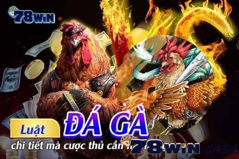 Luật đá gà miền Bắc Luật đá gà miền Bắc