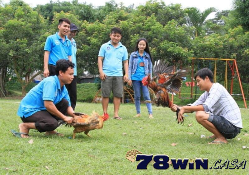Những thuật ngữ đá gà thường thấy nhất